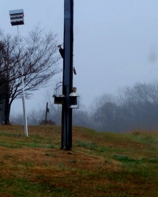 20201220_074323.jpg