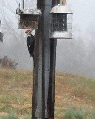 20201220_073815.jpg