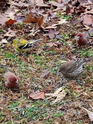20201220_103013.jpg