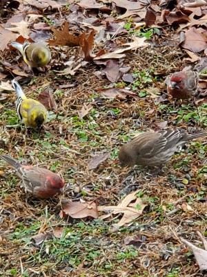 20201220_102955.jpg