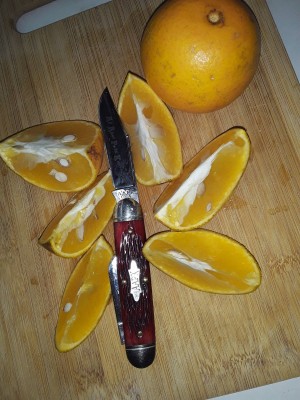 20201219_102222.jpg