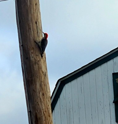 20201221_091026.jpg
