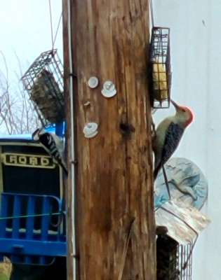 20201221_082808.jpg