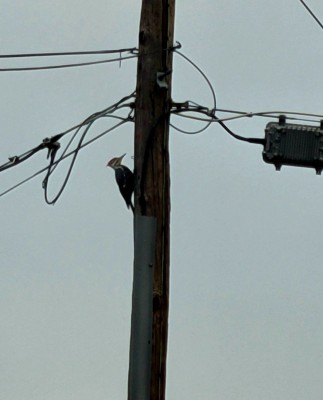 20201221_080637.jpg