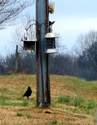 20201221_080530.jpg