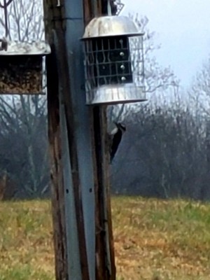20201221_080501.jpg