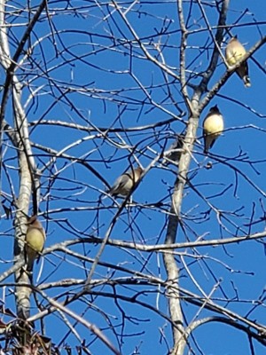 20201222_114710.jpg
