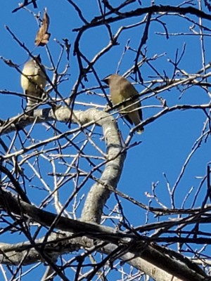 20201222_115308.jpg