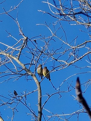 20201222_115210.jpg