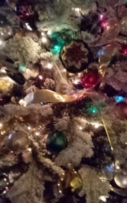 IMG_20201222_205116_820.jpg