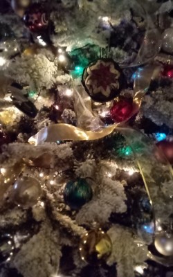 IMG_20201222_205113_916.jpg