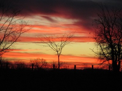 IMG_7144.JPG