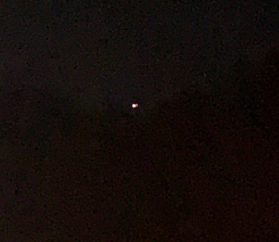 Christmas star.JPG
