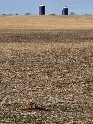 20201224_104958.jpg