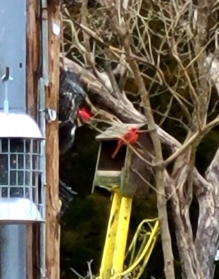 20201224_081731.jpg