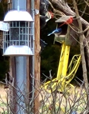 20201224_081723.jpg