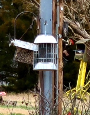 20201224_081703.jpg