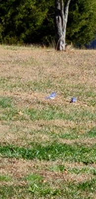 20201222_112209.jpg
