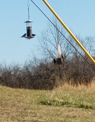 20201222_111834.jpg