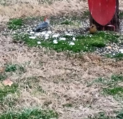 20201224_163812.jpg