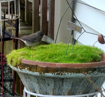 20201224_155151.jpg