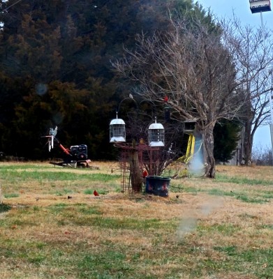 20201224_155143.jpg
