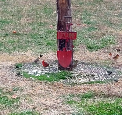 20201224_155131.jpg