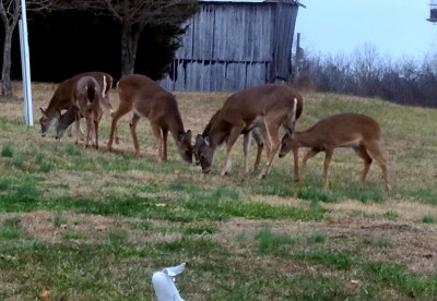 20201224_162539.jpg