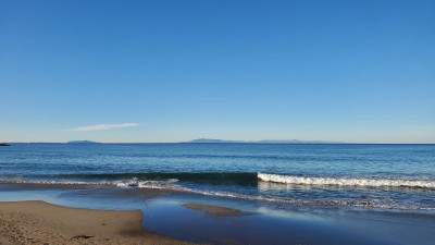 20201225_080517.jpg