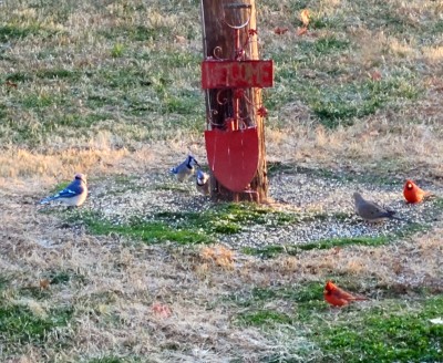 20201225_072120.jpg