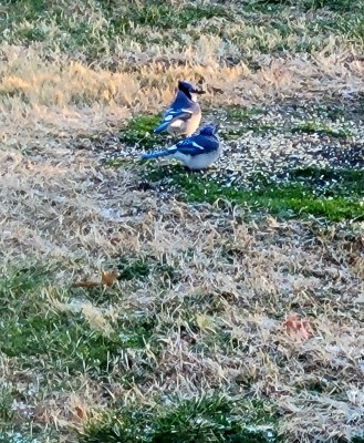 20201225_072040.jpg