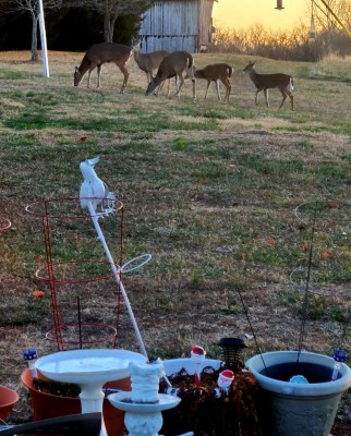 20201225_070933.jpg
