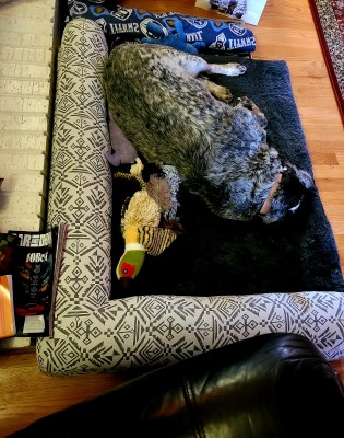 20201226_084230.jpg