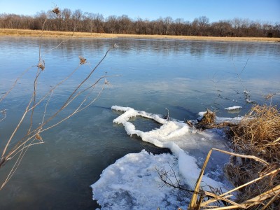 20201226_105818.jpg