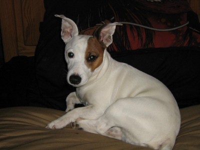 buddybay 011.jpg