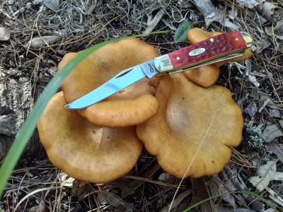 20201226_145830.jpg