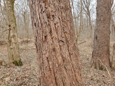 20201229_095901.jpg