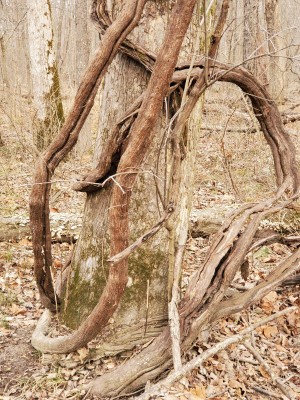 20201229_113209.jpg