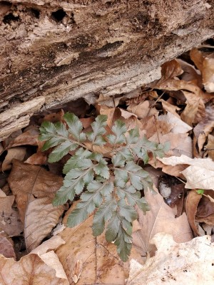 20201229_120032.jpg