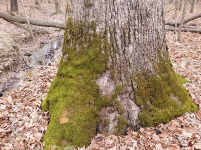20201229_100651.jpg
