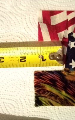 IMG_20201228_074808_281.jpg