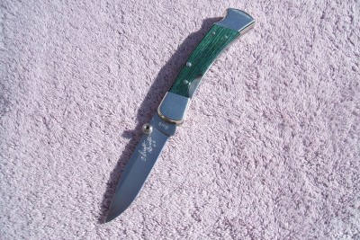 2010_0304bblue0001.JPG