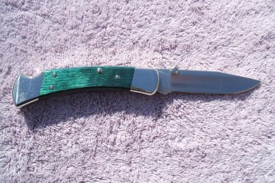 2010_0304bblue0008.JPG