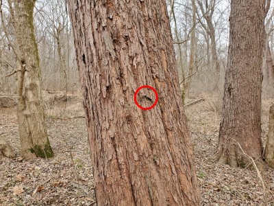 20201229_095901.jpg