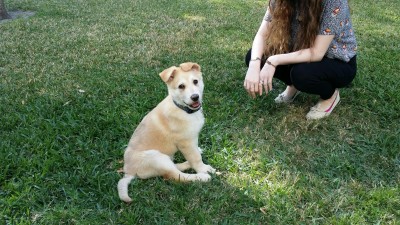 20160305_153805_resized.jpg