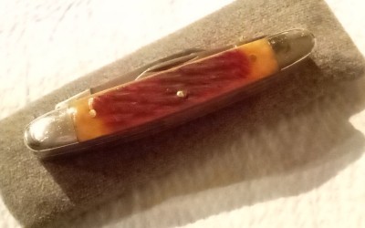 IMG_20201231_074816_667.jpg