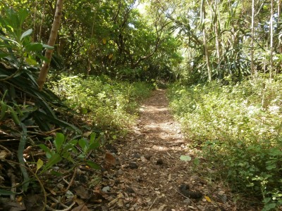 P1020015.JPG