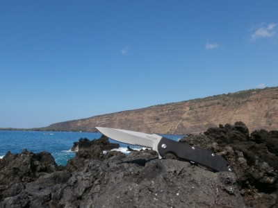 P1020029.JPG