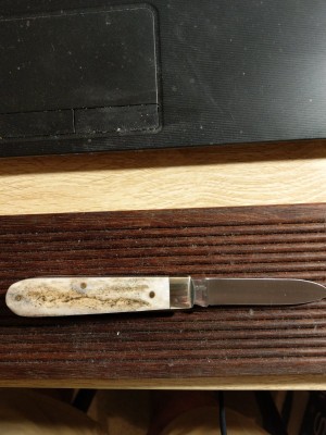 IMAG0420.jpg