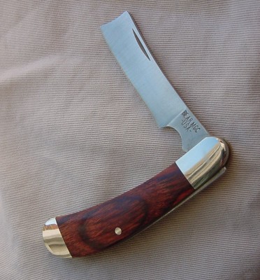 bear_298r.jpg
